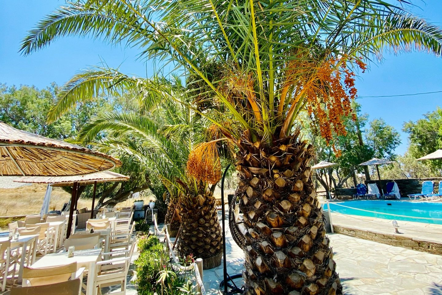 Tinos Apartmnts and studios Zalonis